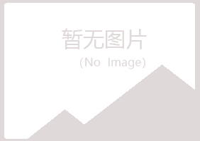 青海字迹采矿有限公司